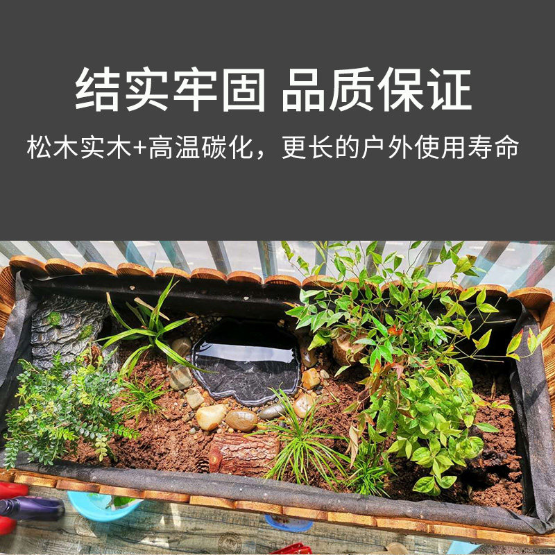 新品黄缘龟生态养殖箱半水龟专用饲养箱环境植物土造景台安缘闭壳