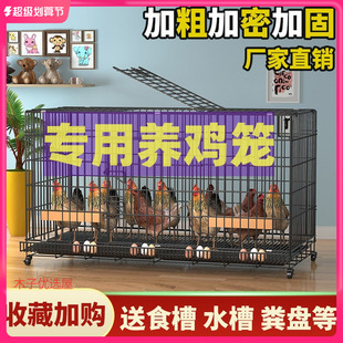 鸡笼子养殖笼家用大号加粗加固自动滚蛋清粪可折叠母鸡鸭笼养殖笼