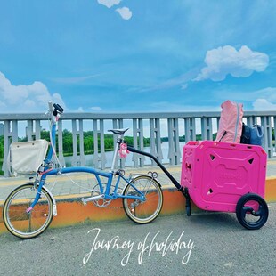 扶摇 DL户外多功能露营车载宠物 适用小布自行车摆摊推车收纳箱