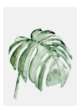 Watercolor Tropical Plant Leaves Minimalist Art Canvas Poste