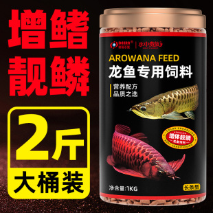 红龙饲料银龙鱼专用鱼饲料金龙鱼红龙鱼增色增艳鱼食观赏热带现货