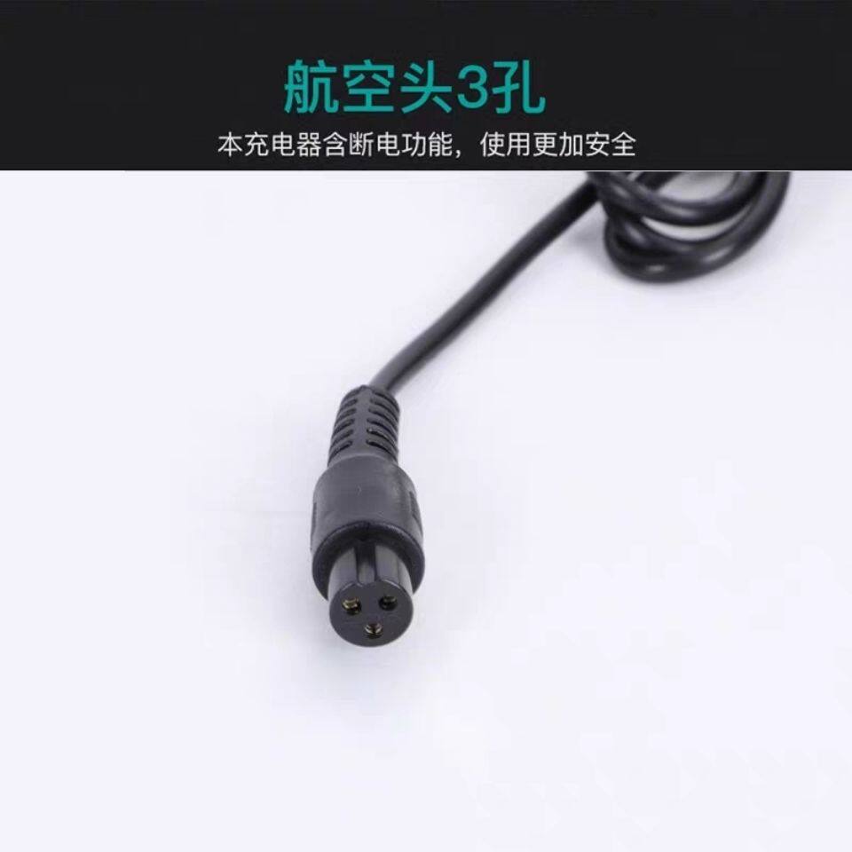 凤凰智能电动平衡车成年上班用儿童8-12双轮代步车越野体充电器