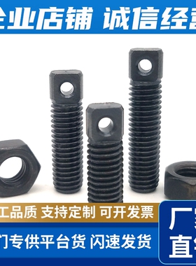 FFE01碳钢拉伸弹簧用支柱AIPOZ8/10/12-15/20/25/30/35/45/55/65