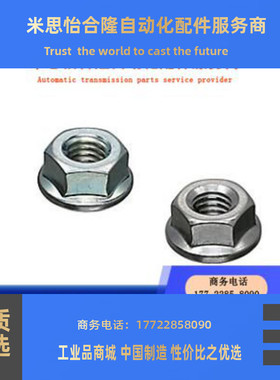 FRSNUT3 FRSNUT4 FRSNUT5 FRSNUT6 FRSNUT8 FRSNUT10带法兰螺帽国