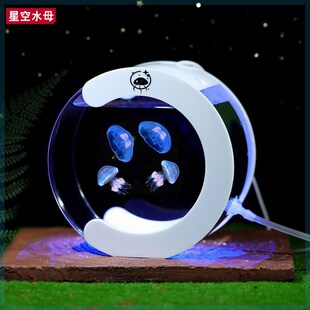 专用水母缸活物好养儿童养殖桌面小宠物迷你懒人赤月循环水族鱼缸