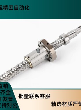 滚珠丝杠BSWE0802 BSWE1002 BTWE1204 BTWE1210 BTWE1510