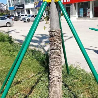 树木支撑架固定j夹果树河道木桩大树钢管三四脚架杉木园林绿化树