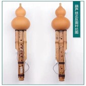 云南艺苑湘妃竹葫芦丝通用成人儿童演奏跟我学C调降B调G调F调D调