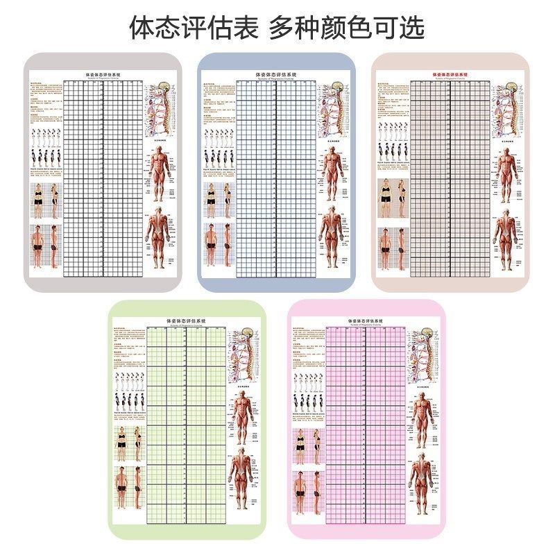 体态评估图健身房体测表瑜伽私教站姿形体脊椎修复身体装饰