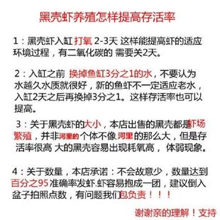 黑壳虾小缸d清洁虾乌龟饲料除藻虾观赏虾工具虾草缸水族箱鱼缸造