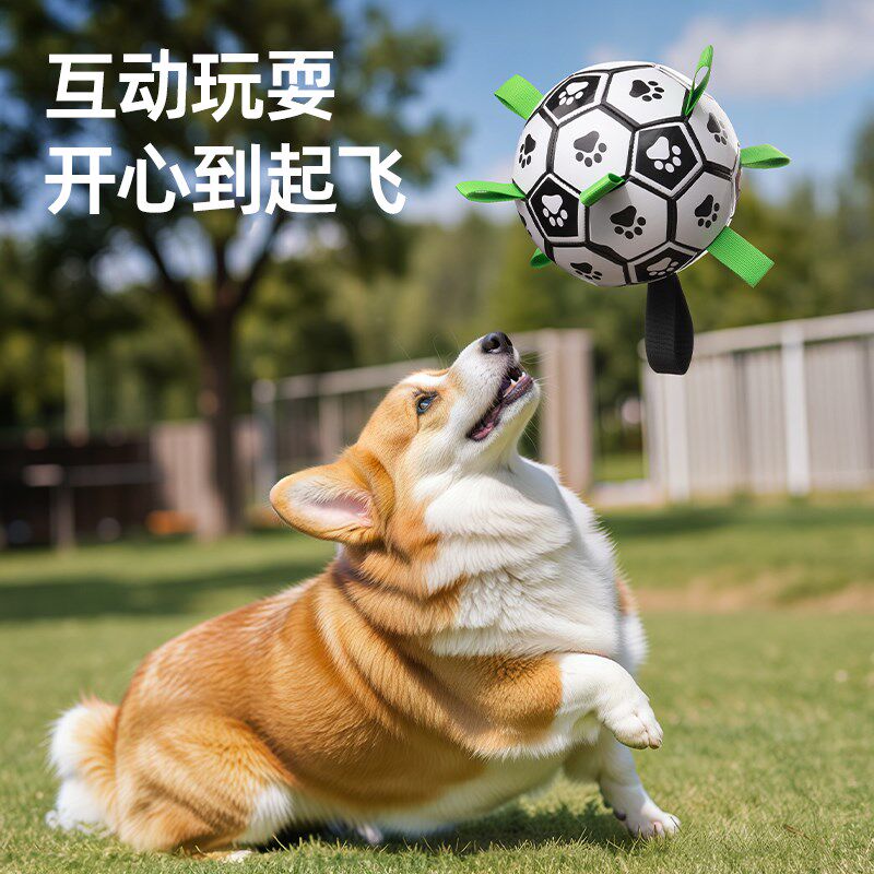 狗狗玩具球边牧自嗨玩具拉布拉多柯基训练狗足球耐咬宠物用品