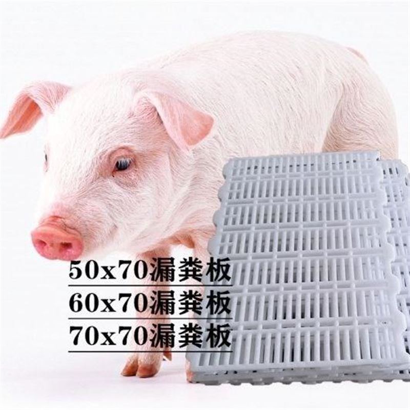 热销塑料漏粪板仔用母猪op产床漏粪板猪猪保床育接粪板猪场养殖设