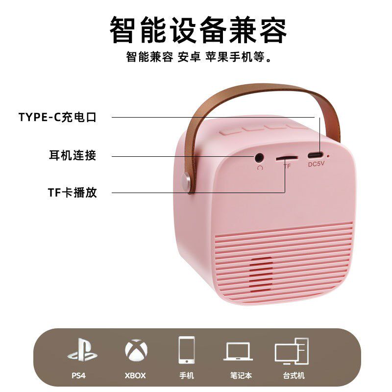 迷你家用无线话筒k歌音响户v外手提麦克风蓝牙音箱家庭ktv唱歌套