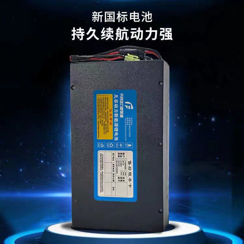 进口德国新日电动车锂电池48v12ah锂离子小型大容量雅迪天能超威