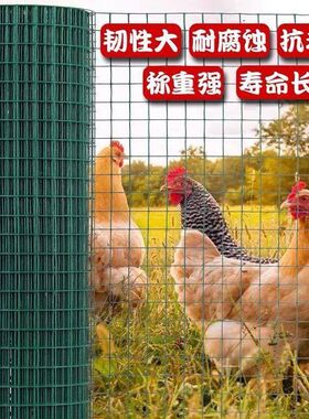 铁栏栅铁网子围栏铁网格网绿色铁丝密网养殖场鸡舍户外养鸡护栏网