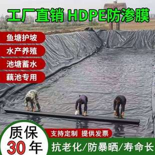 鱼塘防渗膜蓄水池鱼池防水布池塘藕池专用膜护坡膜防Y漏防潮土工