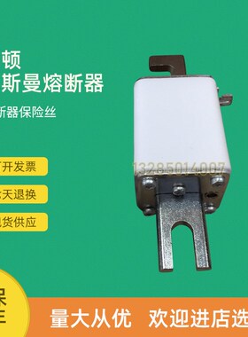 全新快速熔断器保险170M3925 170M3926 170M3927 170M3928