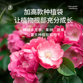 无纺布种植袋加厚植树袋加厚育苗袋E月季 专用种树营养袋大号美植