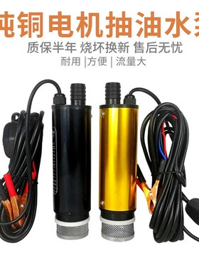 电动抽油泵12v24伏通用小型接电瓶抽水泵家用抽油神器机自吸现货