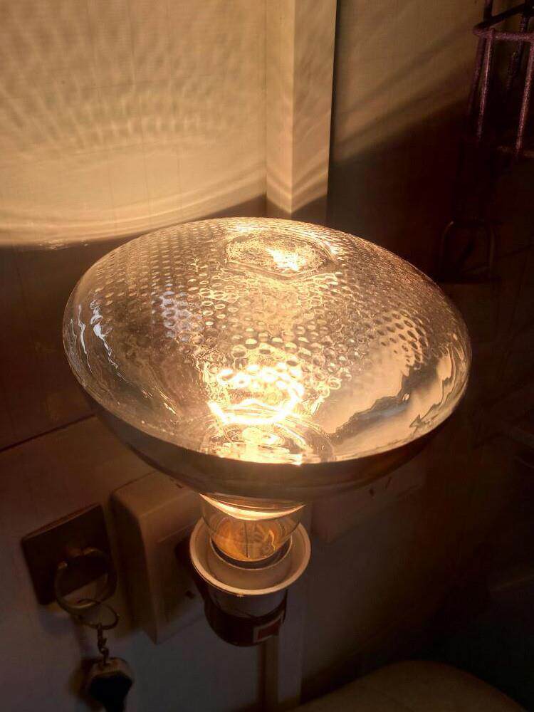 植物加温灯大棚冬季神器蔬u菜加温设备增生长温室花卉保取暖红外