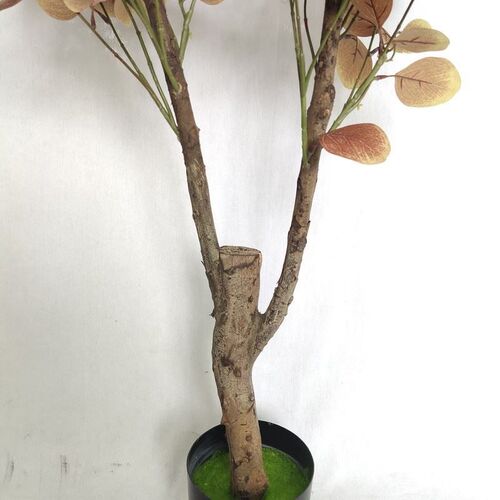 北欧仿真绿植盆栽真木杆秋色金钱树尤加利装饰盆景家居客厅摆件