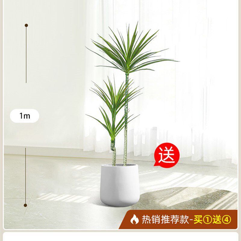 北欧仿真绿植龙舌假树兰植物盆栽室客厅装饰落内地摆件龙血铁树