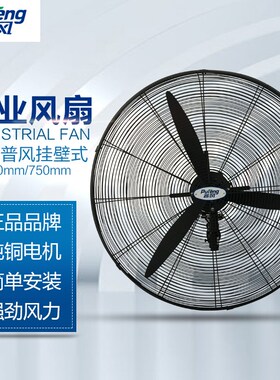 德通普风系列650MM750MM强力工业挂墙壁扇落地风扇DF650-TDF750-T