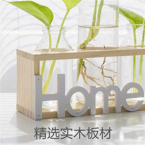 速发新品绿萝水培植物玻璃花瓶花盆小清新客厅插花办公室桌面摆件