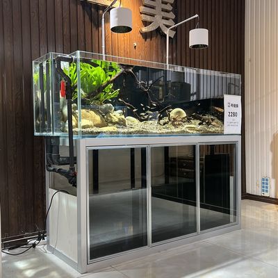 溪流缸客厅中型水草水族箱底滤造景超白玻璃背包溢流生态鱼缸