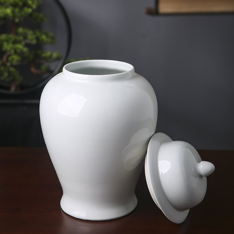 景德镇陶瓷将军罐花瓶摆件白色新中式客厅干插花装饰品玄关样板间