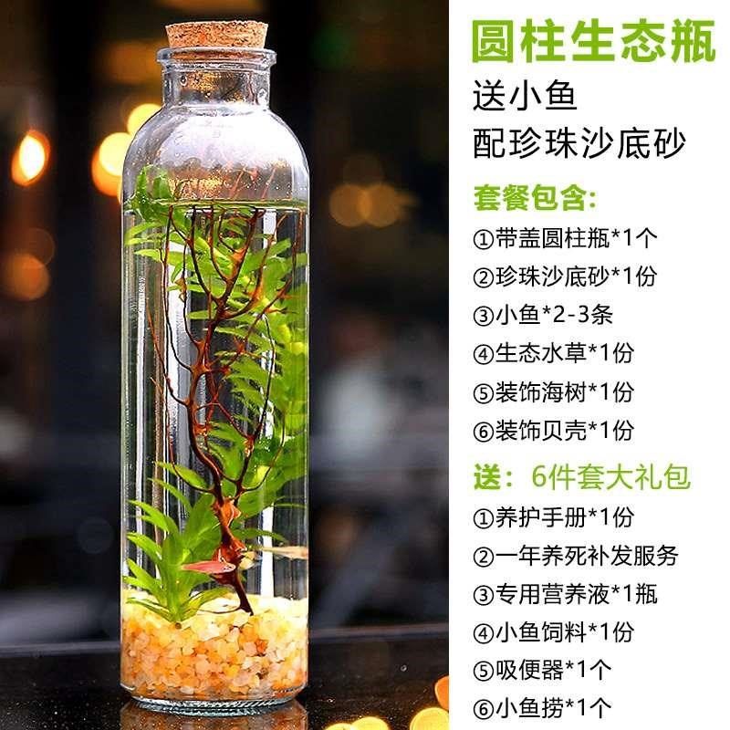 免打理桌面生态瓶自循环r微景观材料DIY水草鱼缸玻璃办公免换 新,宠物/宠物食品及用品,生态瓶/创意缸/微景缸,淘宝优惠券,粉丝福利购,淘宝优惠卷