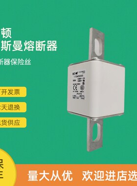 全新快速熔断器保险170M5664 170M5665 170M5666 170M5667