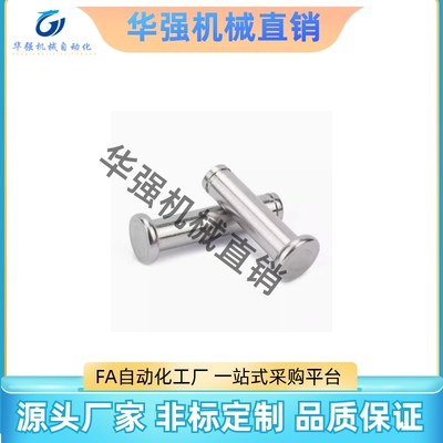 SHCCG8/10/6/5/4/12-10/15/2O0/25铰链销带肩扣环型