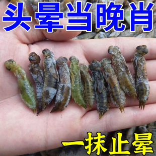 无校退款 头晕特效药 头晕头昏供血不足眩晕提神醒脑膏耳石 推荐