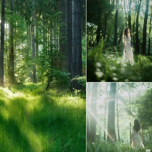 影楼自然风景影棚森林拍照背景影楼室内实景拍照森林拍照背景布