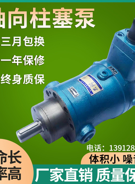 10YCY 25YCY 40MCY 63YCY 80YCY 100YCY 160YCY14-1B上海柱塞现货