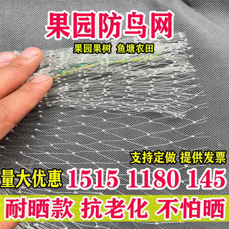 热销防鸟网草莓大棚果树樱桃葡萄梨树果园防鸟用网尼龙养殖网鱼塘
