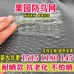 热销防鸟网草莓大棚果树樱桃葡萄梨树果园防鸟用网尼龙养殖网鱼塘