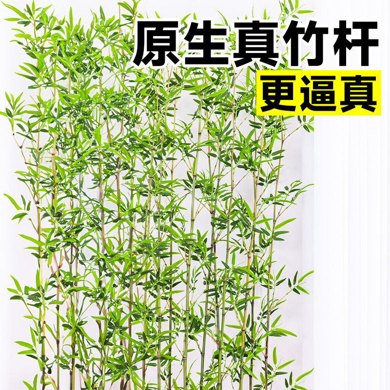 小众高货仿真竹子室外装饰造景围栏仿生绿植庭院隔断摆件酒店室内