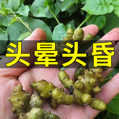 网红【头晕当天治】头晕特效眩晕膏缓解头晕头疼神器醒脑安神药膏