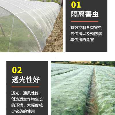 热销新品果树防虫网蔬菜大棚专用养猪场防蚊网网罩防虫袋大棚用护