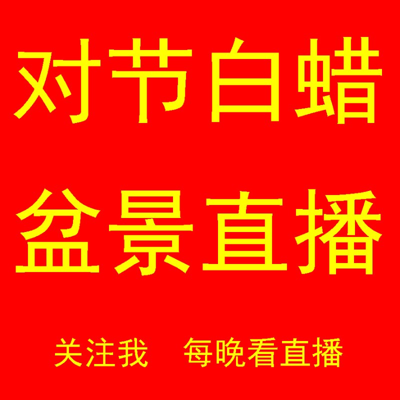 【直播专用】对节白蜡盆景对接白腊树桩盆栽矮V霸小树苗子微型