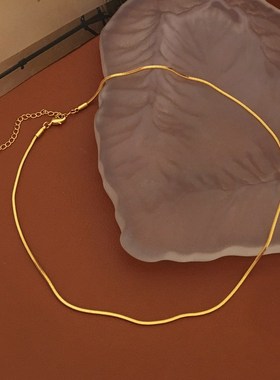 欧美气质简约小众蛇链项r链网红新潮时尚高级感锁骨链个性颈链160