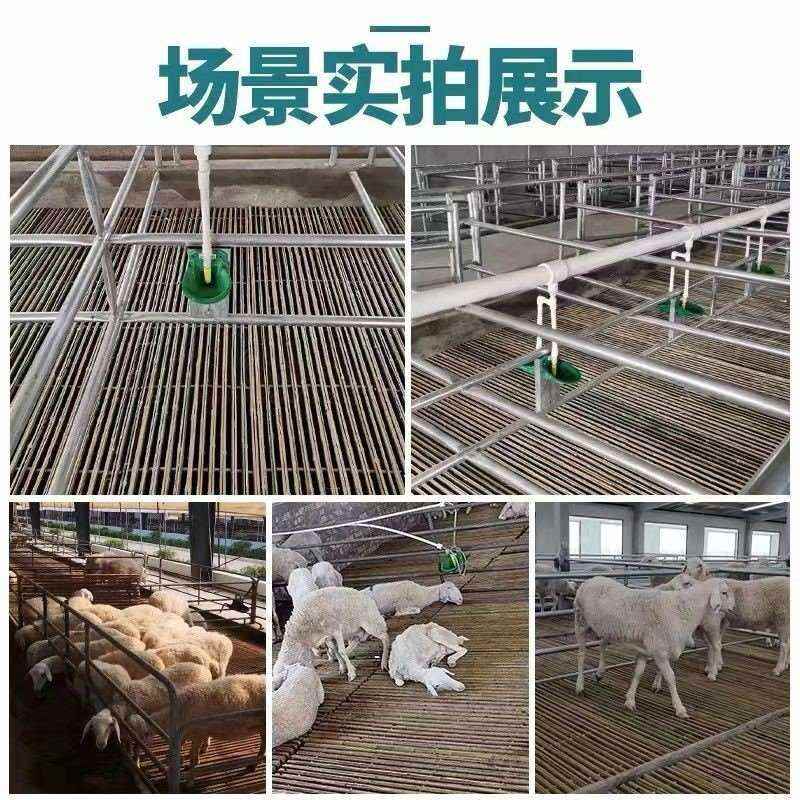 羊床漏粪板竹子养羊竹床羊棚床板竹排架养殖场兔笼竹架板羊圈用