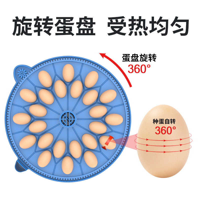 急速发货全自动孵蛋器家用小鸡孵化器迷你玄风鹦鹉芦丁鸡孵化箱A8