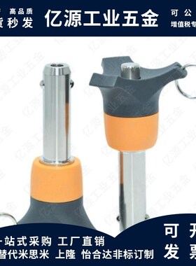 ZAA05-d10/d12/d16-L20/L25/L30/L35/L40/L50/L60 球头锁紧插销