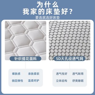 soft dormitory mattress bed student Single Mattress