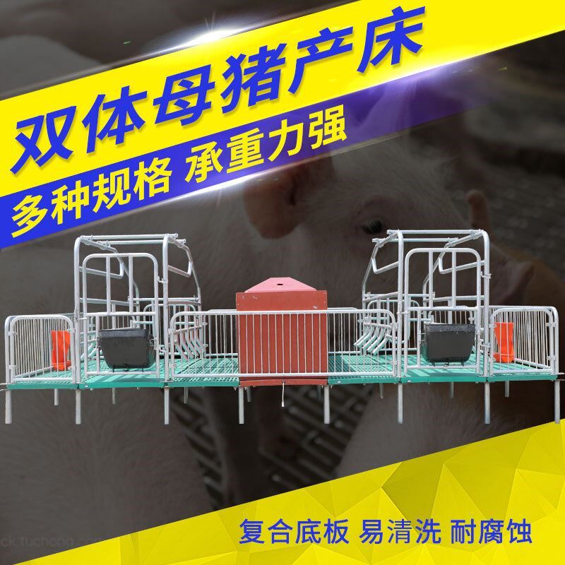 养猪场母猪单体产床现货 双体母猪产床设备多规格 母猪单产床报价