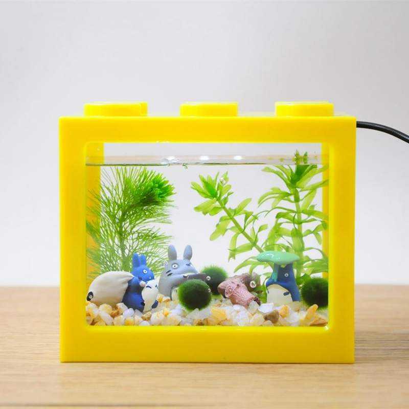 桌面微景观微生态缸鱼缸s桌面迷你植物创意DIY礼物小盆栽水培球藻