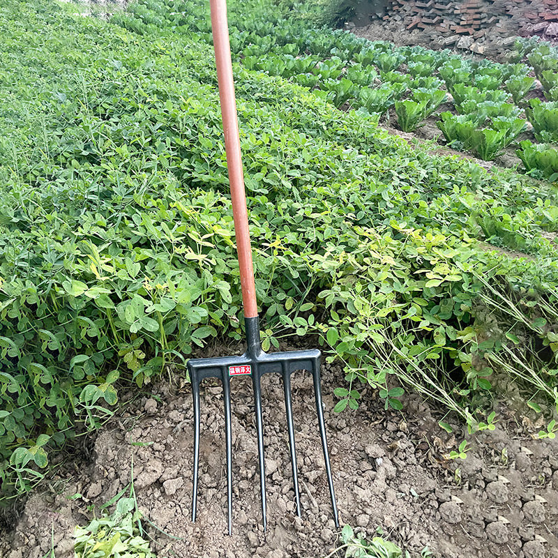 新型一体五齿钢叉农用翻土挖地工具锰钢淬火草叉子牛粪叉翻地松土_虎窝淘